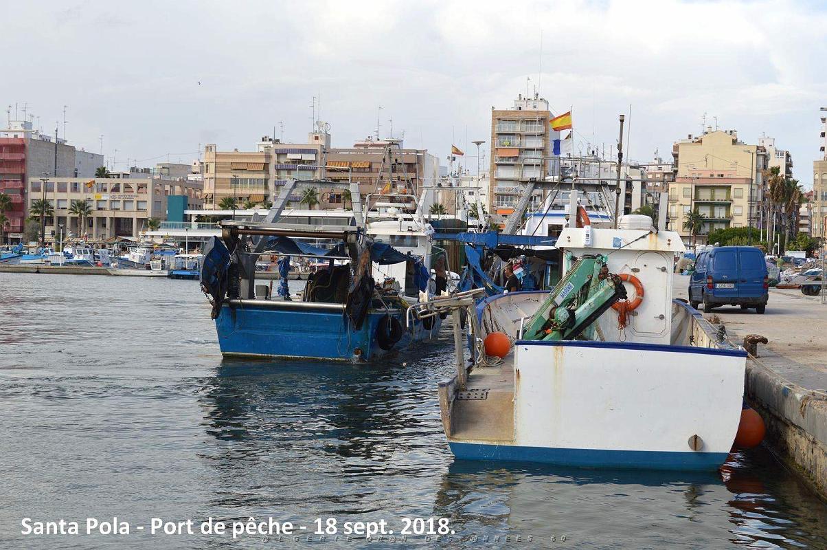 11 SANTA POLA PORT DE PECHE (59).JPG